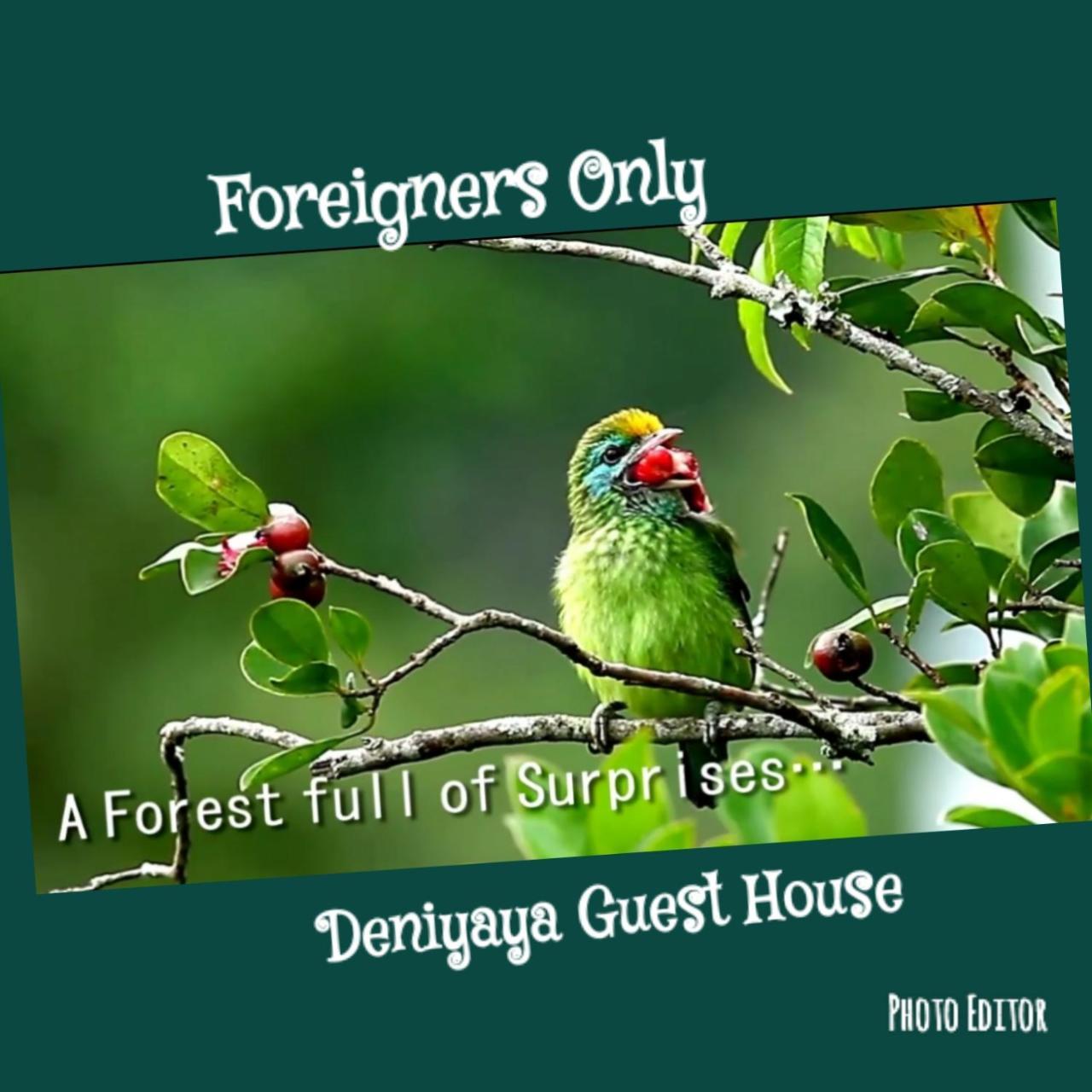 Deniyaya Guest House *
